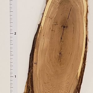 White Oak 2" Thick and planed WO2-11