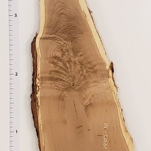 White Oak 2" Thick and planed WO2-10