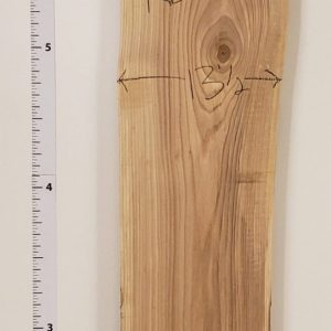 Red Elm 2" Thick and planed RE2-110