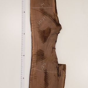 Walnut 1" Thick and planed W1-21