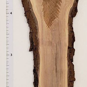Walnut 1" Thick and planed W1-24