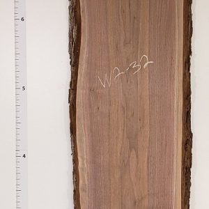 Walnut 2" thick & planed W2-32