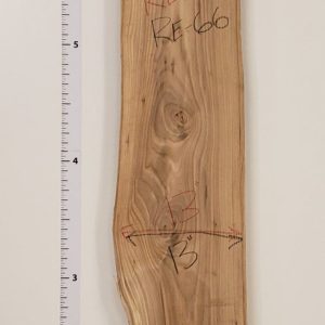 Red Elm 2" Thick and Planed  RE2-66
