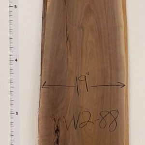Walnut 2" Thick and Planed W2-88